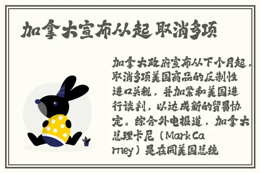 钱多多嫁人记 **